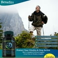 thumbnail image 2 of Prostate Plus Men's Fitness Vitality Complex - Natural Supplement for Prostate Health, Stamina, and Energy Support with Saw Palmetto, Zinc, and Reishi Mushroom - Made in USA, 2 of 9