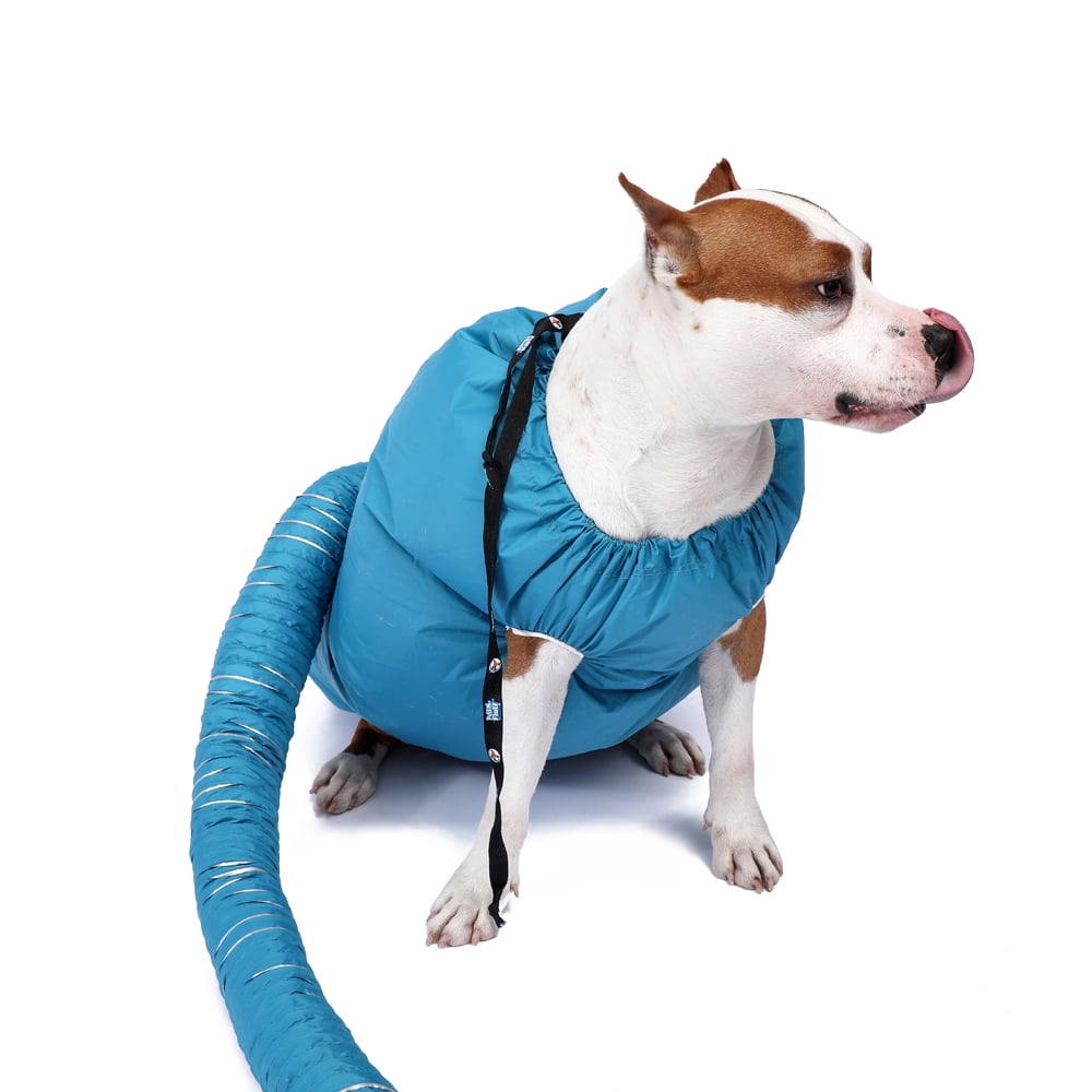 Dog Dryer Bath Fast Drying for Medium Large Dogs Pet Dog Dryer Blower