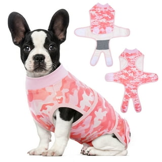 POPforPETS Post Operative Protection Shirt for Dogs (Small) - POP for Pets  Better Than The Cone! The Most Comfortable Alternative Shirt for Recovery!