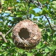 thumbnail image 2 of Decoración hecha a del de del pájaro del del pinzón de del pájaro colgante hecha a 3 piezas Soledad Nido de pájaro de paja tejido a mano, 2 of 10