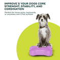 thumbnail image 2 of FitPAWS® K9FITbone® - Mini (Set of 2) | Dog Balance Training Platform & Exercise Equipment | Workout Tool for Strength, Core & Stability - Razzleberry, 2 of 5