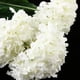 thumbnail image 5 of de seda artificial flor hogar nupcial boda decoración DIY blanco Colcomx Flor de ramo artificial, 5 of 8