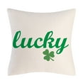 thumbnail image 6 of ZPAQI Saint Patricks Day Pillow Cover Square Linen Pillowcase Clover Letters Design, 6 of 7