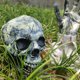 thumbnail image 4 of Verde para insertar traje de calavera decoración de terror accesorios de diseño de casa fantasma Wmkox8yii gf11481, 4 of 9