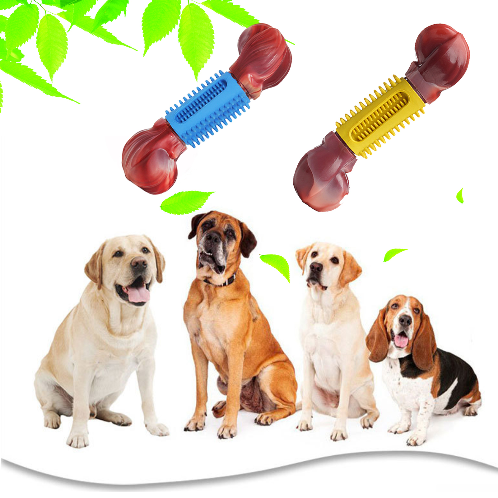 Why Does My Dog Roll On His Bone