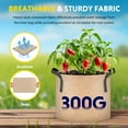 thumbnail image 3 of iPower 5-Pack 5 Gallon Plant Grow Bags Thickened Nonwoven Aeration Fabric Pots Durable Container, Strap Handles, Tan, 3 of 7