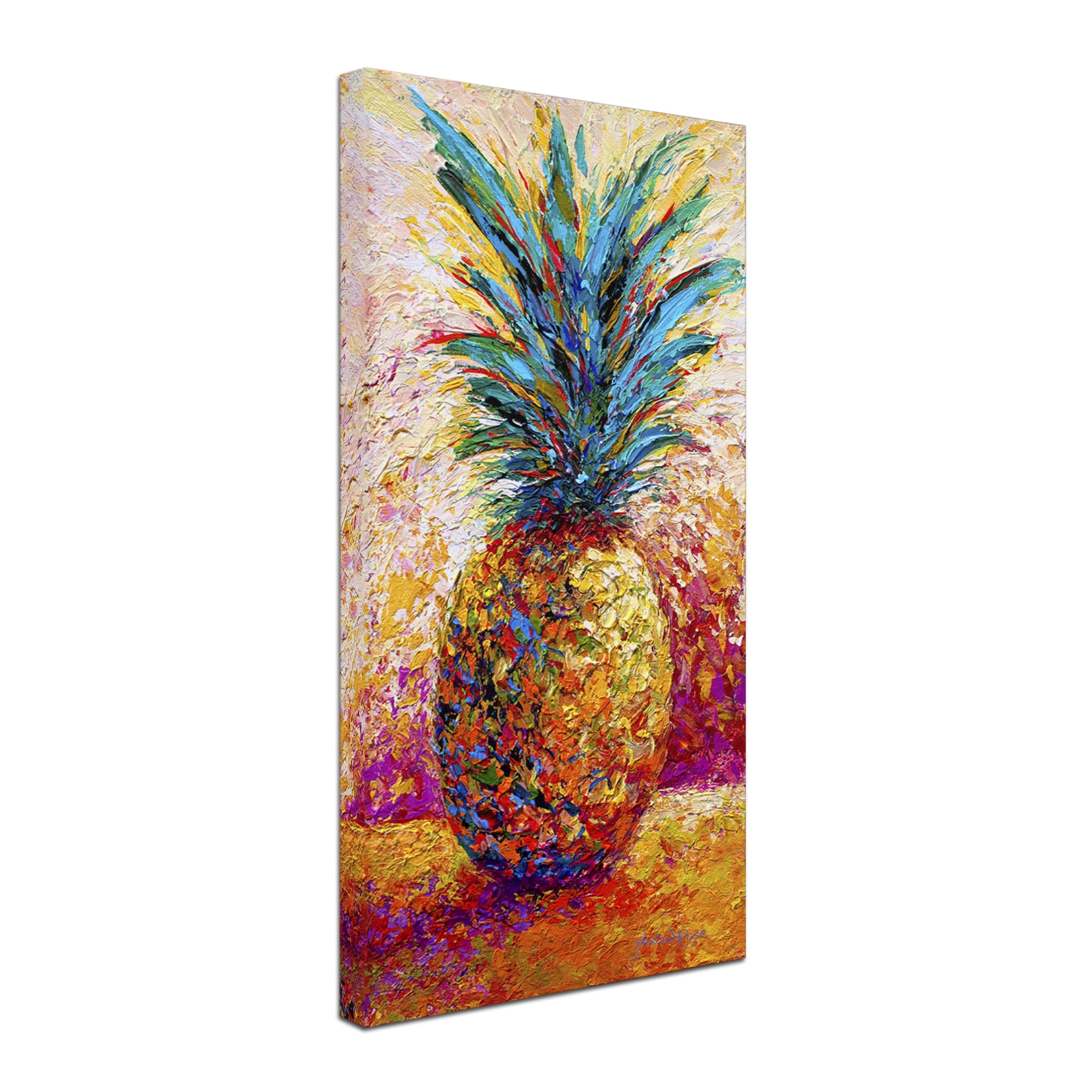 Trademark Fine Art 'Pineapple Expression' Canvas Art by Marion Rose