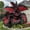 D, variant on Perennial Elephant ear For Planting Ornamental-Premium Garden Stakes-Home Decoration-Beautiful Gift Garden-Bloom Year After Year-(Non-Artificial)