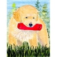 thumbnail image 1 of Carolines Treasures SS8858GF 11 x 15 In. Golden Retriever Flag- Garden Size, 1 of 3