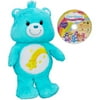 Care Bears-amer Grt Care Bears Wish Bear