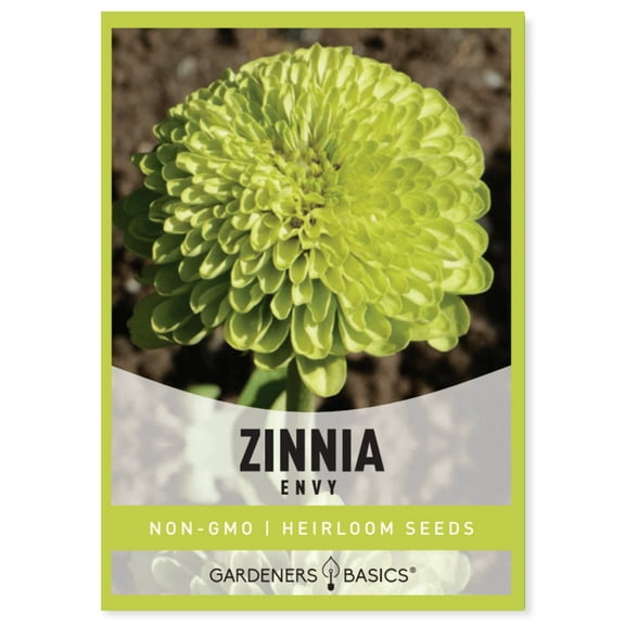 Zinnia Envy Seeds