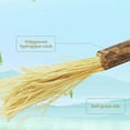 thumbnail image 5 of 10Pack Natural Silvervine Dental Sticks,Silvervine Sticks for Cats,Interactive Kitten Chew Playthings,Cat Chew Stick for Teeth Cleaning,Scratch & Bite Resistant, for Indoor Fresh Breath, 5 of 9