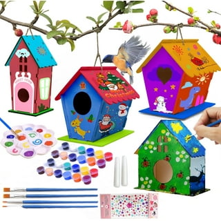 bird house craft kits Walmart