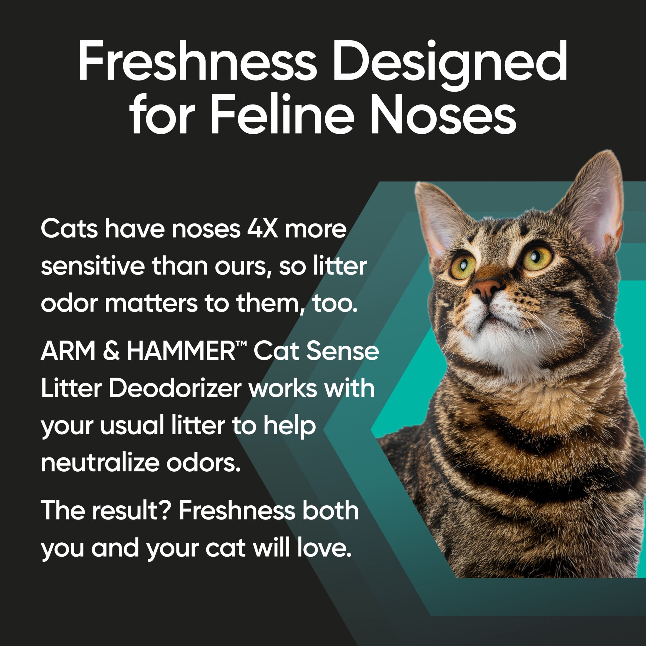 ARM & HAMMER Cat Sense Odor Control Cat-Approved Litter Deodorizer, Long-Lasting Scented Freshener Additive, Works with Most Litter, 24 Oz