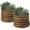 Walnut Finish, variant on Round Metal Raised Garden Bed, 2x2x1.5 FT, 18-Inch Deep Galvanized Steel Garden Bed with Open Bottom for Outdoor Vegetables & Herbs, Walnut Finish, 2 Pack