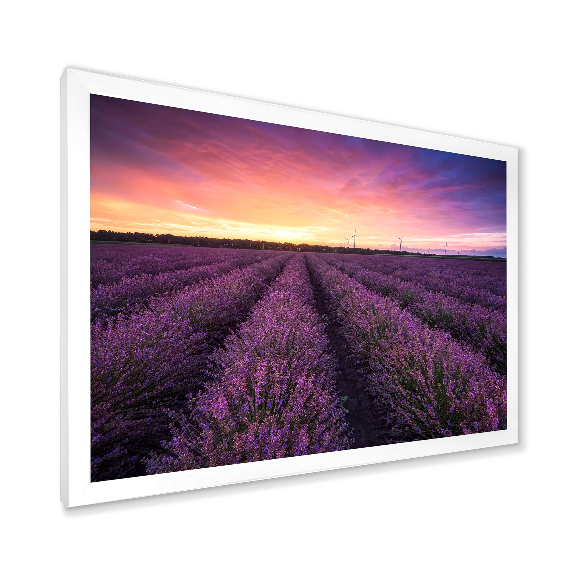 Designart 'Dramatic Clouds and Sunrise Over Lavender Field XIII' Farmhouse Framed Art Print