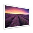 thumbnail image 2 of Designart 'Dramatic Clouds and Sunrise Over Lavender Field XIII' Farmhouse Framed Art Print, 2 of 4
