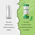 thumbnail image 4 of Oodles of Doodles Kids' Green Apple & Lime Sparkling Water, Color on The Can, 8.4 fl oz, 4 Cans, 4 of 8