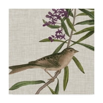 Trademark Fine Art 'Avian Crop IX' Canvas Art by John James Audubon