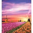 thumbnail image 3 of Nature Duvet Cover Sets, Tulip Fields and Windmills in European Landscape with a Sunset Sky View, Bedding Set with 2 Duvet Covers & 4 Pillowcases, 2 Pack Queen Size, Orange Pink Purple, by Ambesonne, 3 of 7