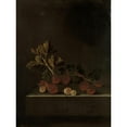 thumbnail image 3 of Adriaen Coorte 19x24 Black Modern Framed Museum Art Print Titled - A Sprig of Gooseberries on a Stone Plinth (1699), 3 of 5