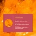 thumbnail image 2 of Aera Mini Moondance - Essential Oil for Home- Warm and Alluring Fragrance - Notes of Iris, Bergamot, Amber and Vanilla - Scent Refill, 2 of 8