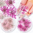 thumbnail image 2 of 10 Uds 3D flores secas uñas arte decoraciones flores naturales encantos de uñas conjunto de joyería suministros de uñas para accesorios profesionales Tan Jianjun unisex, 2 of 2