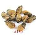 thumbnail image 5 of XLSEAFOOD AAA Grade Sun Dried Hiroshima Oyster from Japan 美国旭龙行 特级日本广岛传统蚝豉蠔豉 (#120-8oz), 5 of 5