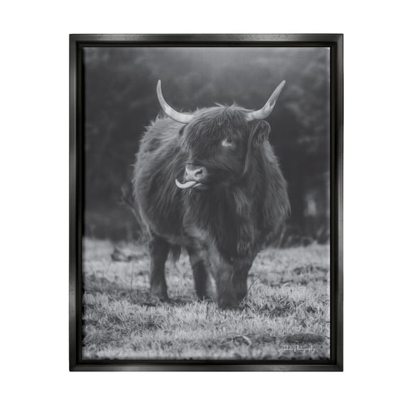 Stupell Monochrome Highland Cow Photography Animals & Insects Photography Black Floater Framed Art Print Wall Art