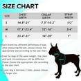 thumbnail image 2 of DMISOCHR Dog Harness and Leash Set with Collar - Step in No Pull Dog Harness, 2 of 5