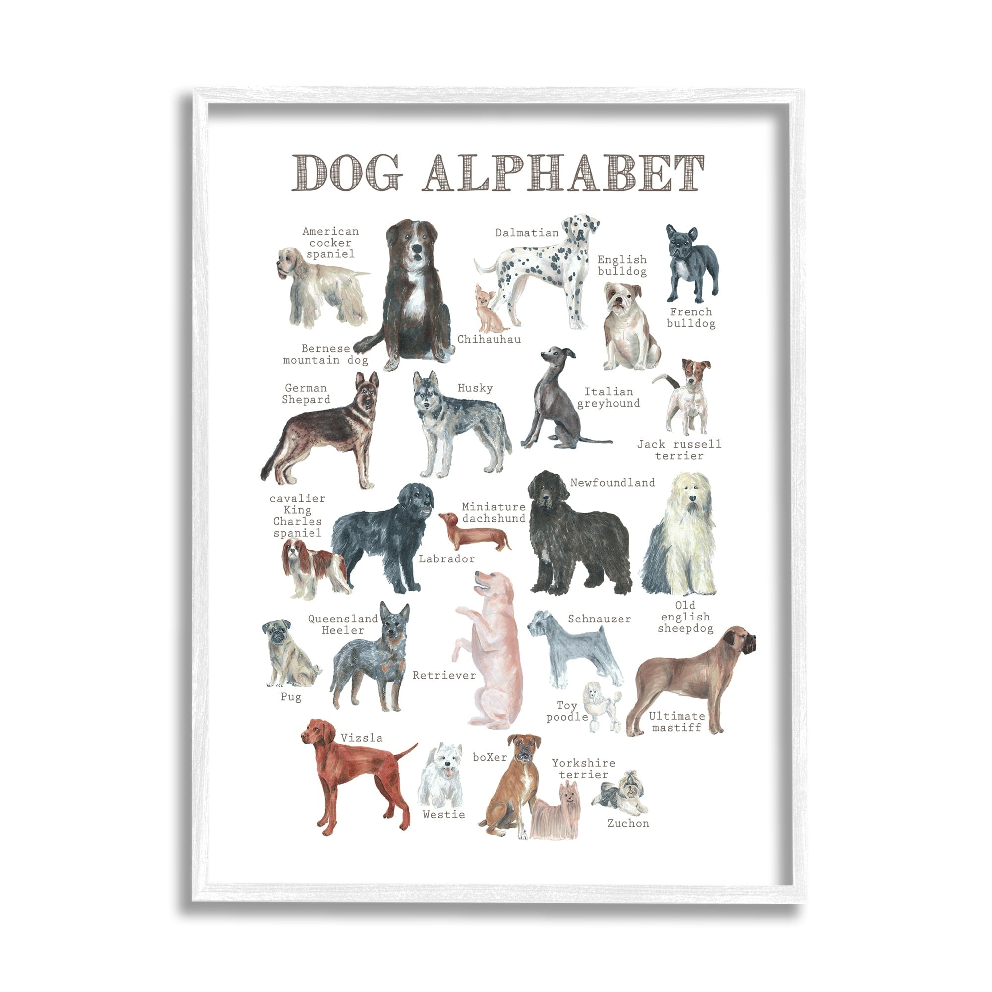 Stupell Industries Dog Alphabet Multiple Breeds Educational Animals Chart Graphic Art White Framed Art Print Wall Art, Design by Dishique