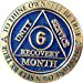 thumbnail image 2 of 6 Month AA Medallion Reflex Blue Gold Plated Chip, 2 of 7