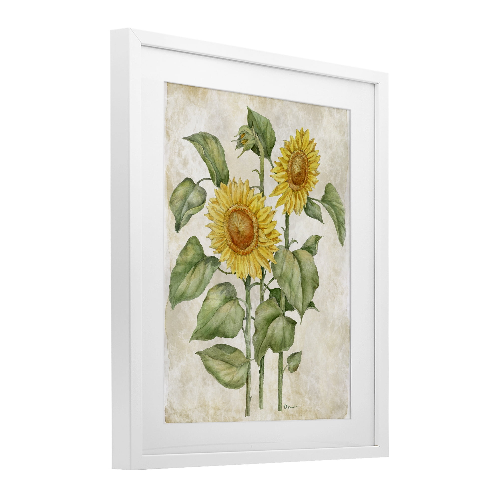Stupell Industries Floral Journal Vintage Sunflower White Framed Print Under Glass, design by Paul Brent