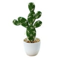 thumbnail image 1 of Artificial tropical plant simulation cactus bonsai artificial simulation potted plant, 1 of 5