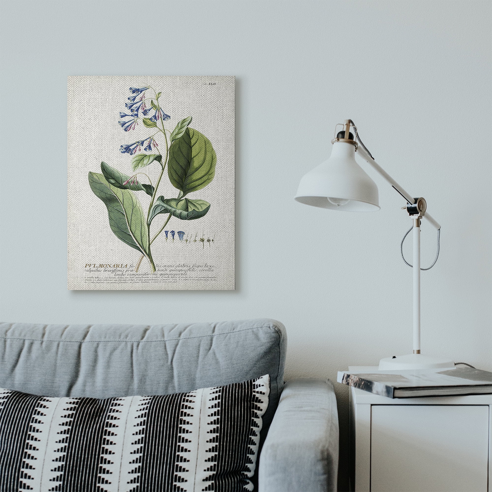 Stupell Industries Botanical Plant Illustration Blue Flowers Vintage Design Canvas Wall Art by Unknown