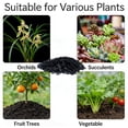 thumbnail image 4 of Bexikou 300G Horticultural Activated Charcoal for Plants, Enhances Drainage & Improves Soil, Perfect for Succulents, Orchids, Cacti, Indoor & Outdoor Gardening, 4 of 7