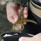 thumbnail image 2 of Pinza para labios de pescado Pinza compacta para labios con llaveros Herramienta fuerte para pesca con caña con mandíbula ancha Atrapa peces portátil para camping 1ud., 2 of 4