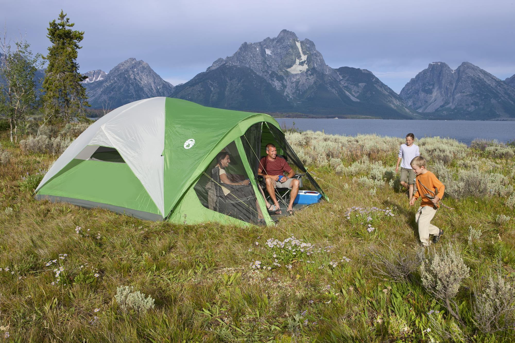 Coleman Evanston™ Screened 8 Tent - Walmart.com