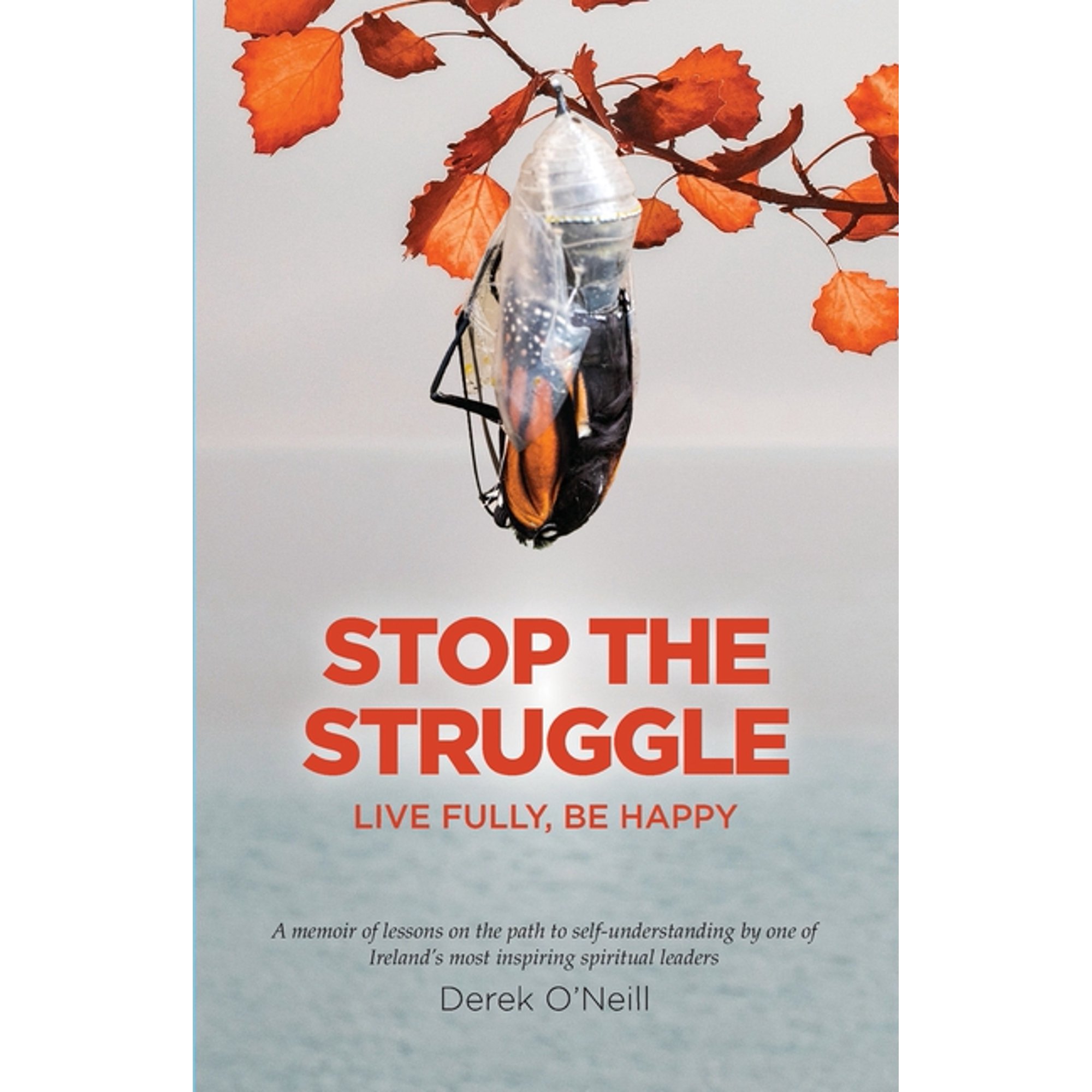 Stop The Struggle (Paperback)