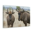 thumbnail image 2 of Funny Wildebeest Silly Wildebeest Scene Couple Wall Art Ready to Hang Unframed, 2 of 18