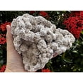 thumbnail image 2 of Large Desert Rose Cluster, Natural Desert Rose Selenite Stones, Desert Gypsum Rose, Raw Selenite Rose Crystal, Rose Rock, Sand Rose (4-5 lbs), 2 of 8