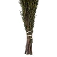thumbnail image 3 of Vickerman 22-26" Yellow Grabia, 5-6 oz Bundle, Preserved, 3 of 4