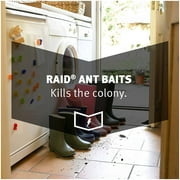 Raid Ant Bait Kitchen Defense - Child-Resistant Indoor Ant Bait - 4 Count