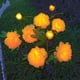 thumbnail image 3 of Solar Outdoor Three Head Peony Flower Lamp, Garden Simulation Flower Lamp, Outdoor Props, Decorative Lamp, 3 of 3
