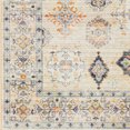 thumbnail image 3 of Livabliss Leicester Vintage Washable Area Rug, Grey, 5'3" x 7', 3 of 9