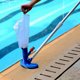 thumbnail image 4 of Bolsas De Succión De Vacío De Piscina Bolsas de succión para piscina Accesorio de limpieza de hojas de piscina Bolsas de vacío de plástico OPP Sywqhk Para Estrenar, 4 of 8
