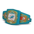 thumbnail image 4 of IGLOO  Miami Dolphins WWE Legacy Belt Cooler, 4 of 7