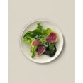 thumbnail image 6 of JoyJolt Mesa 6pc Stoneware 8" Salad plate set - Linen, 6 of 8