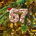 thumbnail image 5 of WEGFTDUOP Christmas 67 Acrylic Ornament Six Funny Xmas Holiday Ornament Funny 67 Decorations Meme Grandkid Gift For Christmas Tree Christmas Hanging Decor, 5 of 7