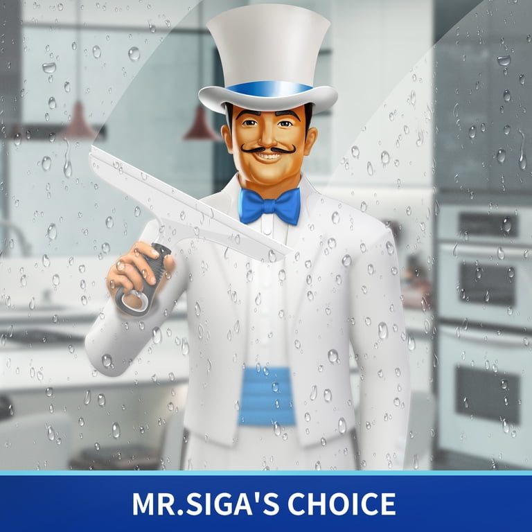 MR.SIGA 10-Inch Silicone Window Squeegee photo 3